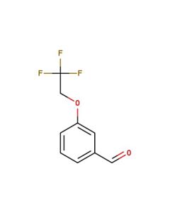 Astatech 3-(2,2,2-TRIFLUOROETHOXY)-BENZALDEHYDE; 1G; Purity 97%; MDL-MFCD07432793